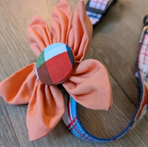 Hounds Abound Other - Flower Dog collar